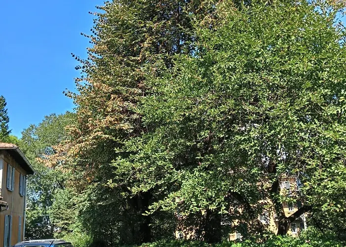 Apartment Gabbinoholidayhome In Suggestiva Corte Como